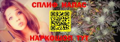 спиды Кунгур