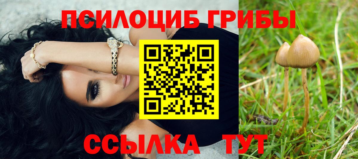 Псилоцибиновые грибы Psilocybe  Вход с VPN  Южно-Сахалинск  Псилоцибиновые грибы мицелий 
