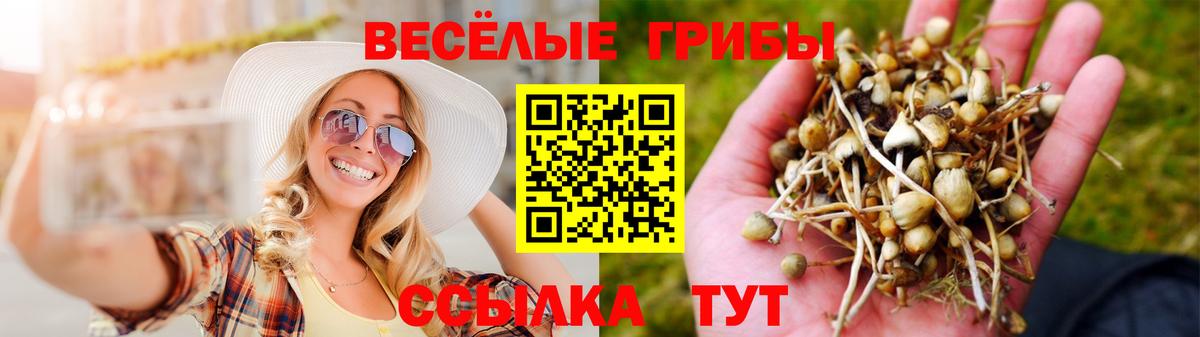 Псилоцибиновые грибы мухоморы Южно-Сахалинск